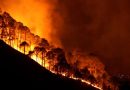 Mégafeux, la forêt des Landes pour comprendre