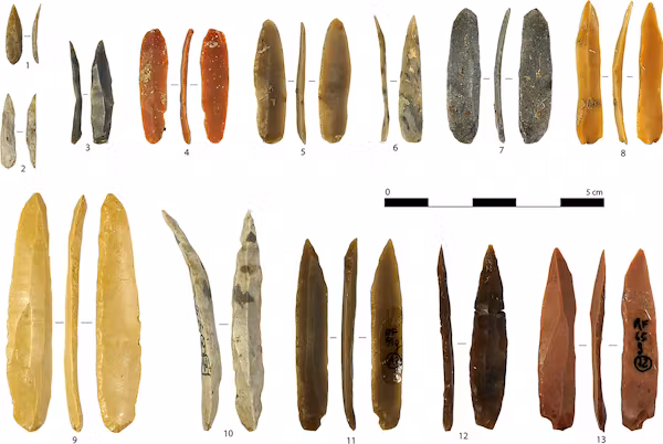 Plongée dans le quotidien des humains de la Préhistoire, il y a 40 000 ans