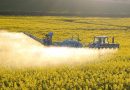 Droit de l’environnement : entre espoirs et reculs