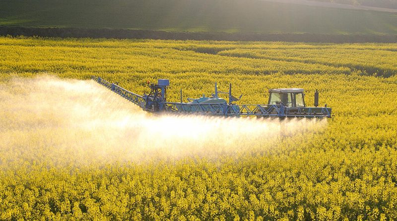 Droit de l’environnement : entre espoirs et reculs